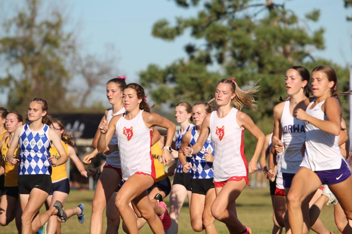 Addison Dabroski, junior, and Kyra Cordes, senior, lead the pack during a XC meet at Seminole Valley.