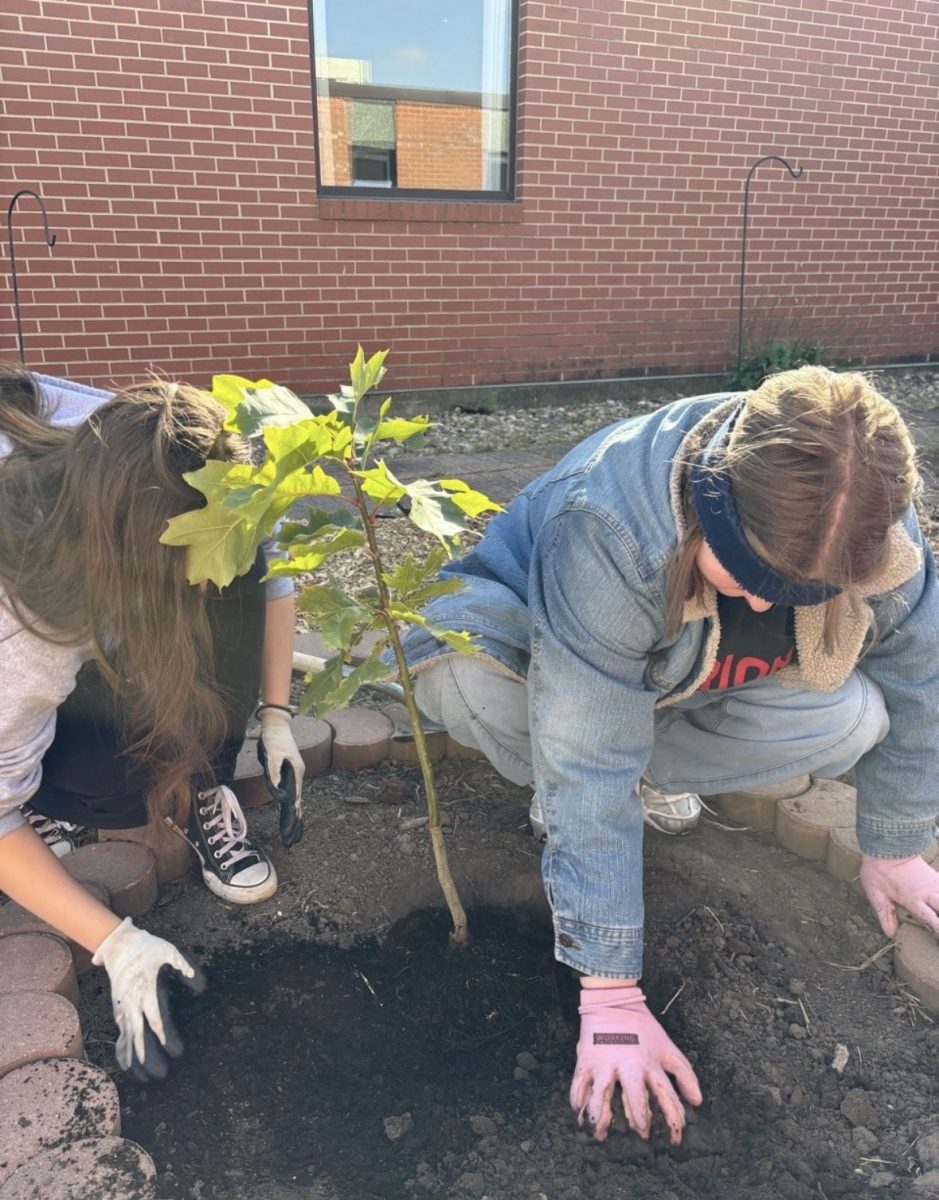 Members of the garden club have worked hard to add life back into the gardens, including planting a tree. 