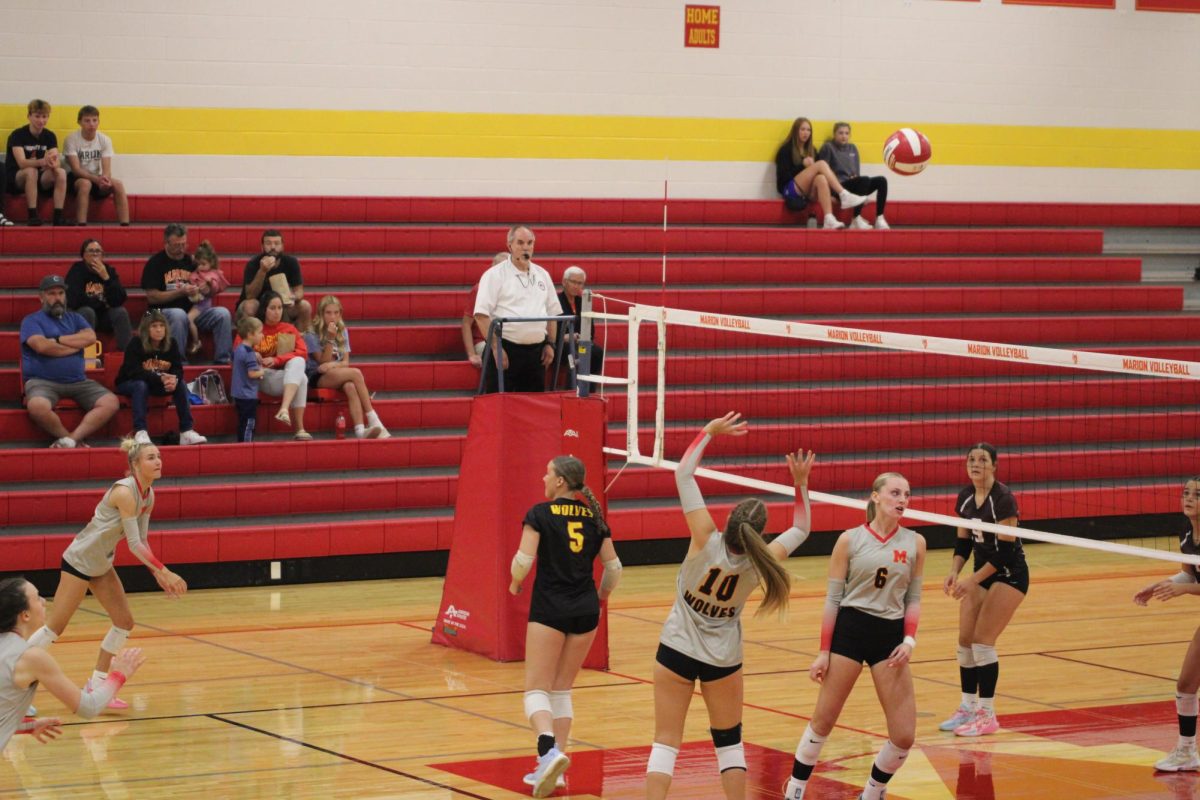 A referee closely watches the Wolves versus the Waterloo West Wahawks varsity volleyball game, ready to make a call.