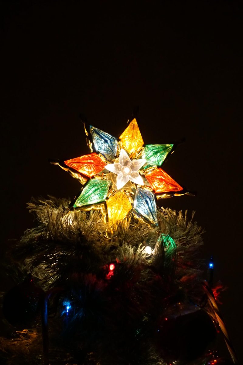 Twinkling lights are more than just ornaments; they’re the heart of holiday magic. (Taken by Zephyr S. - Courtesy of Auto Focus)