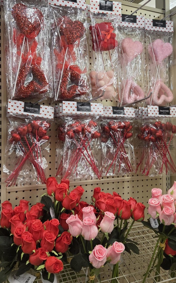 An aisle from Hobby Lobby on 180 Collins Rd NE in Cedar Rapids displays Valentine’s decorations.
(Courtesy of Harlie Hemphill)
