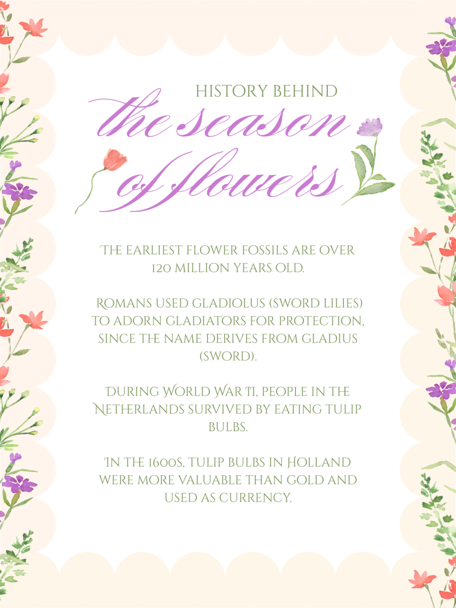 Stop and smell the flowers today! 
